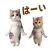 Cat Dance Dance