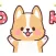 Fat cute Corgi