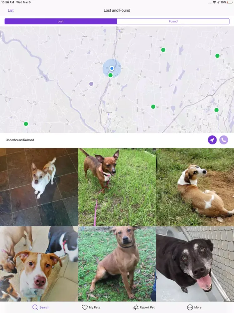 Capturas de pantalla de Pawfinder - Lost & Found Pets iPad 