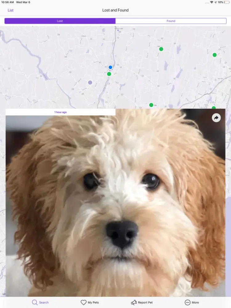 Capturas de pantalla de Pawfinder - Lost & Found Pets iPad 