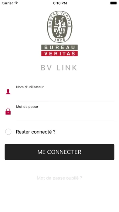 Скриншоты BV Link
