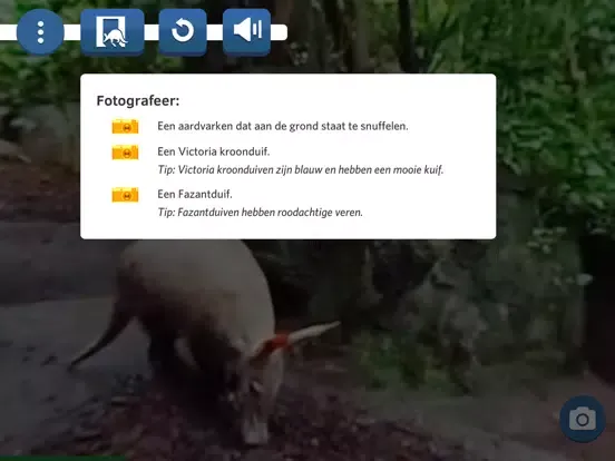 Zrzuty ekranu Burgers' Zoo Snapshot iPad 