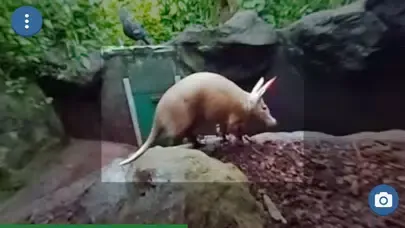 Zrzuty ekranu Burgers' Zoo Snapshot