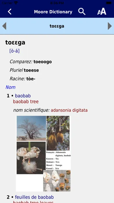 Moore Dictionary應用截圖