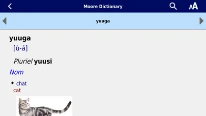 Moore Dictionary應用截圖