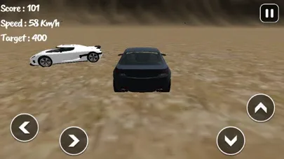 Ảnh chụp màn hình của Burnout Drift Rally