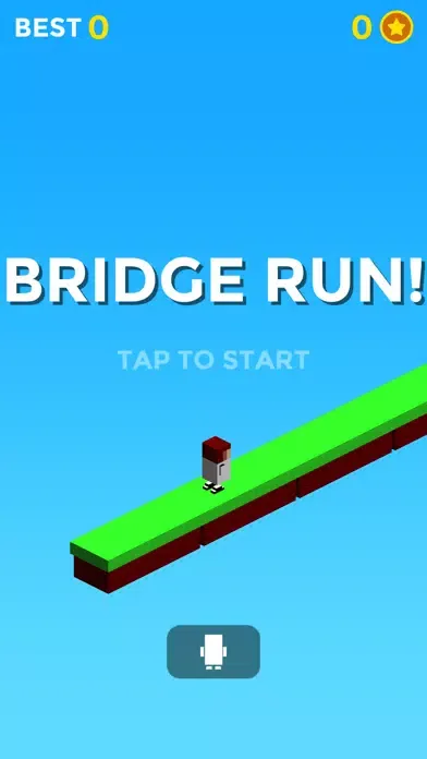 صور Bridge Run