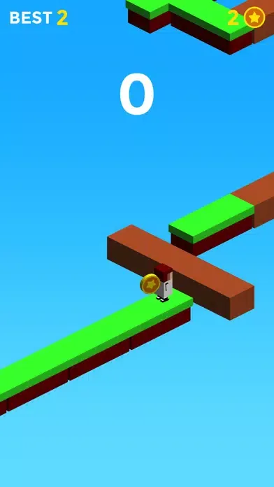 صور Bridge Run