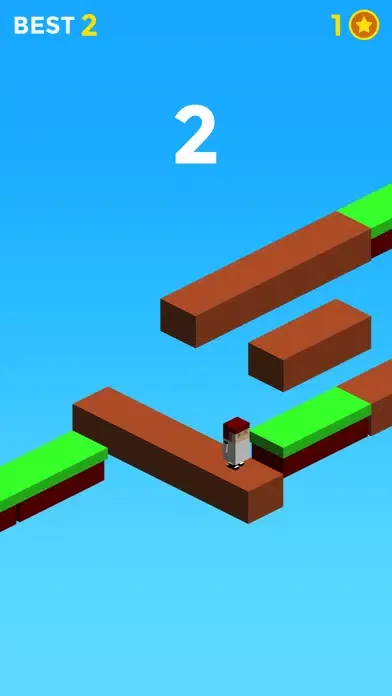 صور Bridge Run