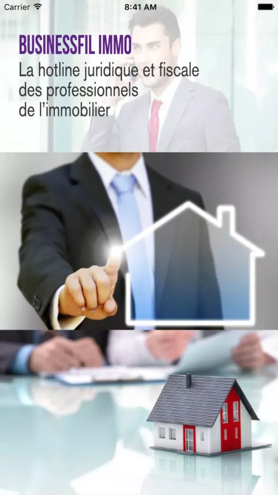 Zrzuty ekranu BusinessFil Immo