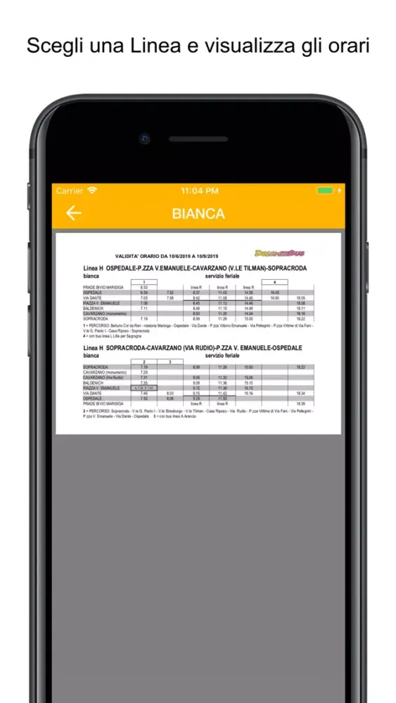Bus Belluno Timetables Screenshots