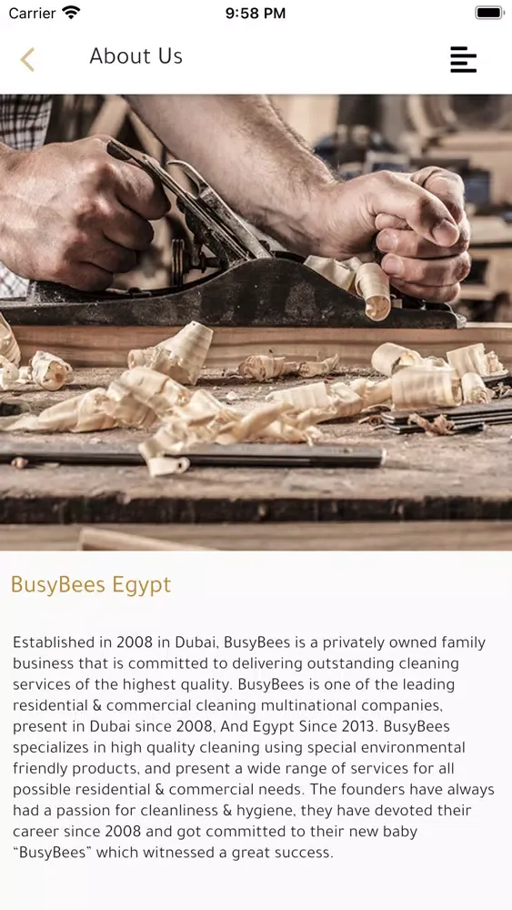 BusyBees Egypt Ekran Görüntüleri