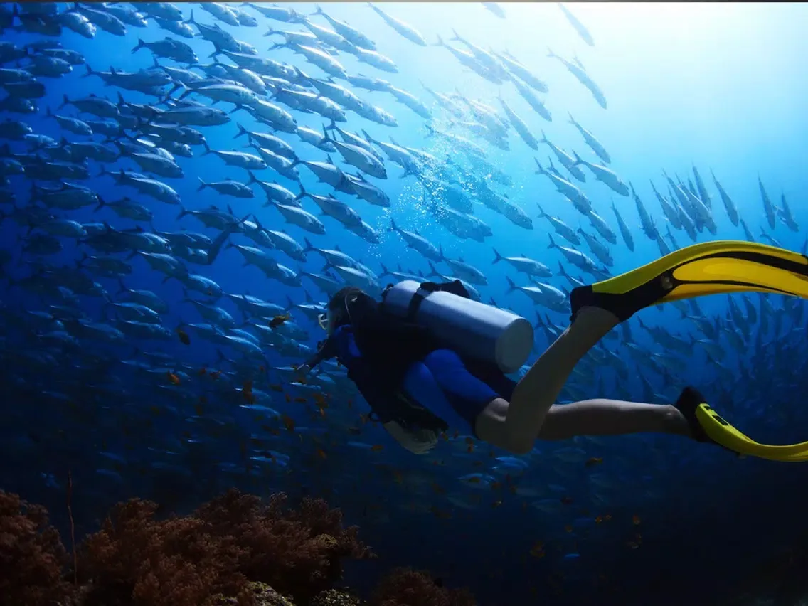 VR Scuba Diving for Google Carboard iPad  স্ক্রিনশট