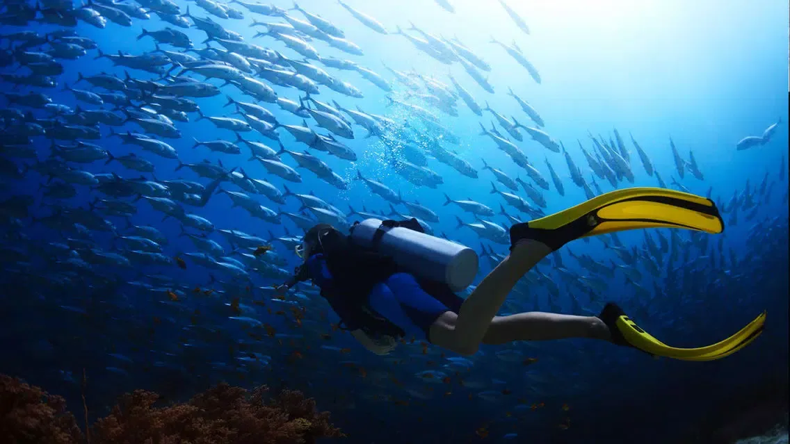 VR Scuba Diving for Google Carboard স্ক্রিনশট