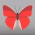 Butterfly Go! - Travel and catch them all