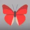 Butterfly Go! - Travel and catch them all