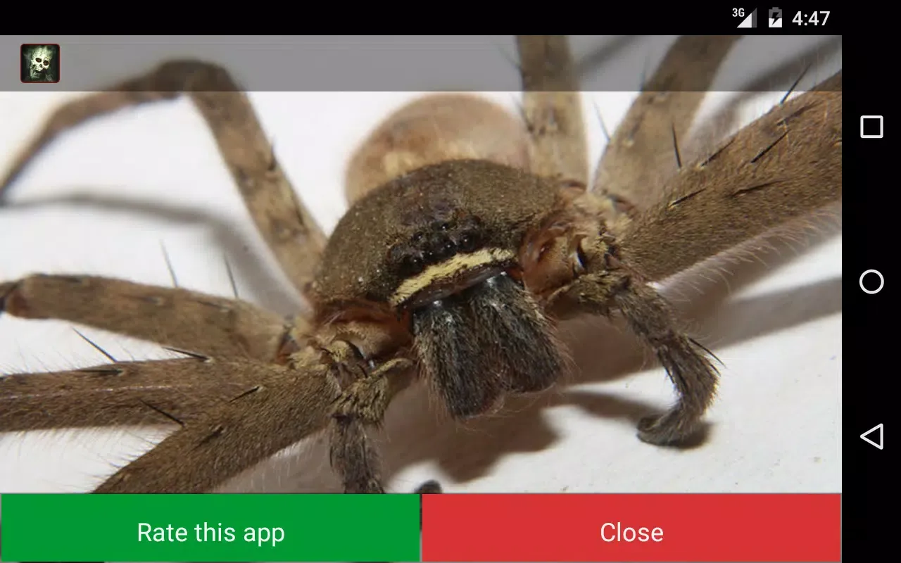 Capturas de tela do Funny phone prank with camera