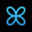 Buttrfly: Web3 Social Explorer