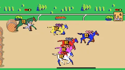 Horse Hurdles Race Screenshots