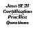 Java SE 21 Practice Questions