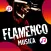 Musica Flamenca