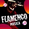 Musica Flamenca