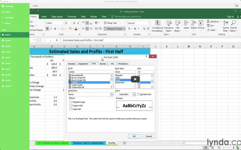 Tangkapan layar Learn To Use - Microsoft Excel 2016 Edition