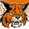 Lloydminster Bobcats