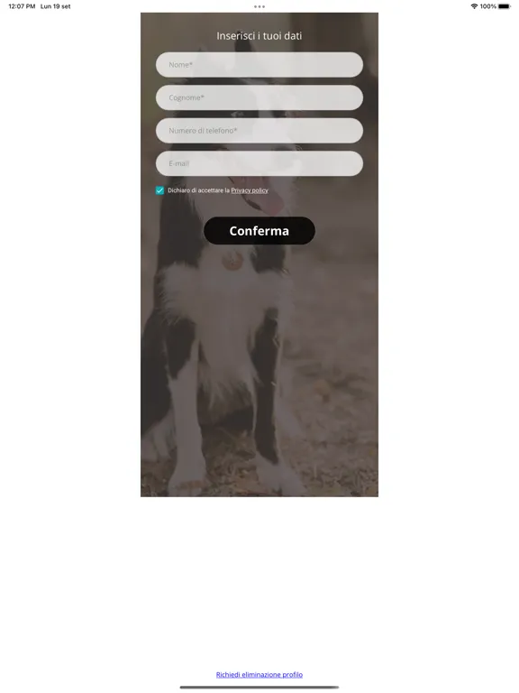 Hair Dog iPad  Ekran Görüntüleri