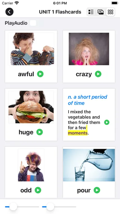 1000 Basic English Words (4)應用截圖