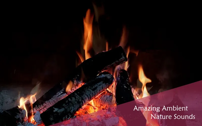 Zrzuty ekranu Chill & Relax Fireplace: Fire & Candle HD Video