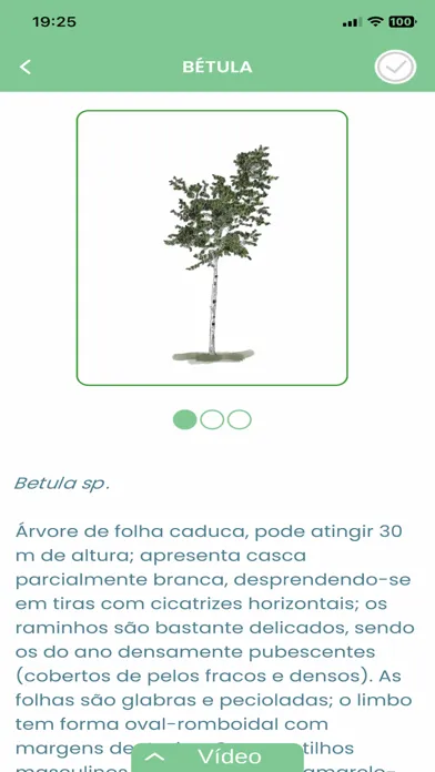 Capturas de tela do Territórios 5 Sentidos