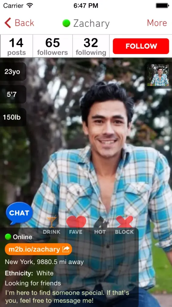 Meant To Be Dating and Chat Screenshots