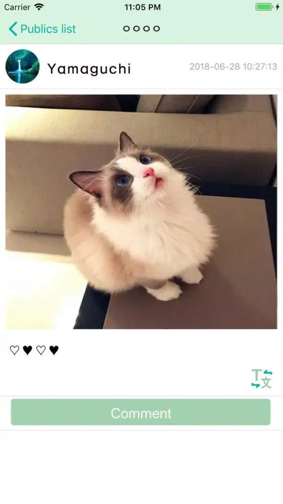 Modoo Talk - Chat Global应用截图