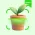 Plant Note:  Identifier & Care