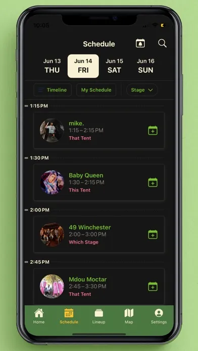 Screenshot di Bonnaroo Music & Arts Festival