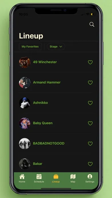 Screenshot di Bonnaroo Music & Arts Festival