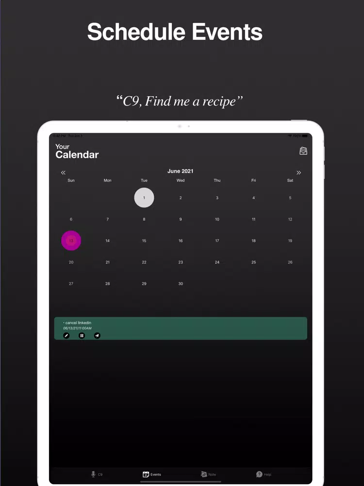 C9 Companion - Productivity AI iPad  स्क्रीनशॉट