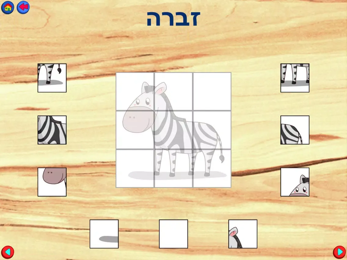 Kids Puzzles in Hebrew iPad  Screenshots
