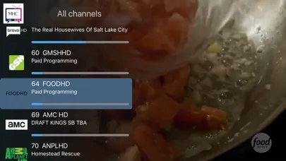 Tangkapan layar Mid-Hudson TV