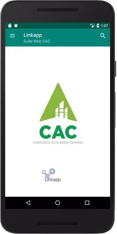 Capturas de tela do Linkapp CAC