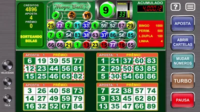 Capturas de tela do Megaball Video Bingo