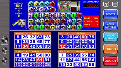 Capturas de tela do Megaball Video Bingo