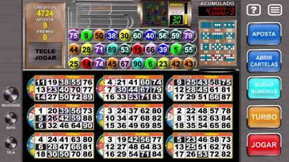 Capturas de tela do Megaball Video Bingo