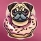 Pugz