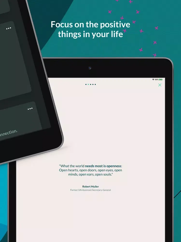 Cactus: Mindfulness Journal iPad 应用截图
