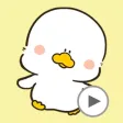 動く!もっちりあひる 動く!もっちりあひる