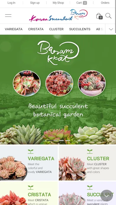 Capturas de pantalla de Korea Succulents