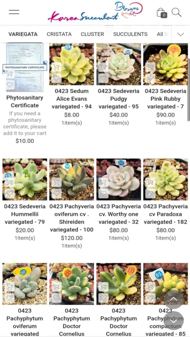 Capturas de pantalla de Korea Succulents