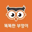 smartowl 똑똑한부엉이